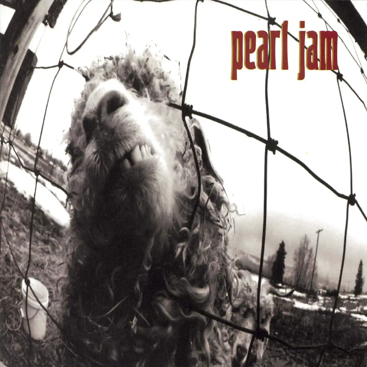 Pearl Jam Cover Front